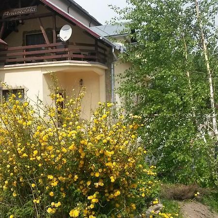 Pension Anastasia Gura Humorului Exterior photo