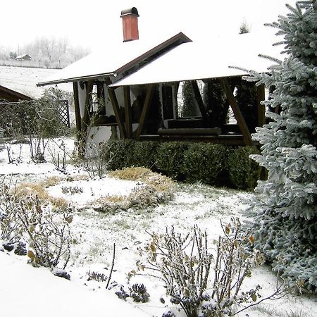 Pension Anastasia Gura Humorului Exterior photo