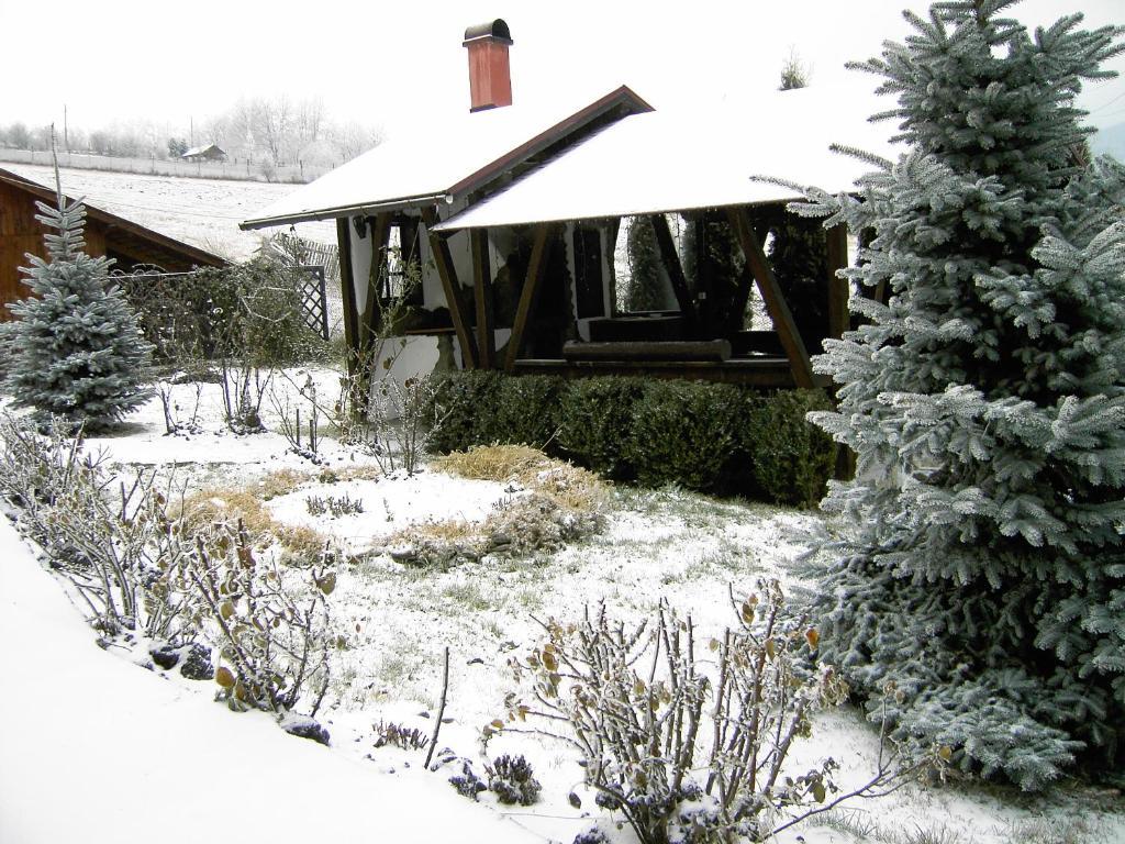 Pension Anastasia Gura Humorului Exterior photo